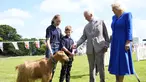 Raja Charles III dan Ratu Camilla melihat Kambing Golden Guernsey yang langka saat mengunjungi Les Cotils di L'Hyvreuse, di Saint Peter Port, Guernsey selama kunjungan dua hari mereka ke Kepulauan Channel, Selasa (16/7/2024). (Andrew Matthews/PA via AP)