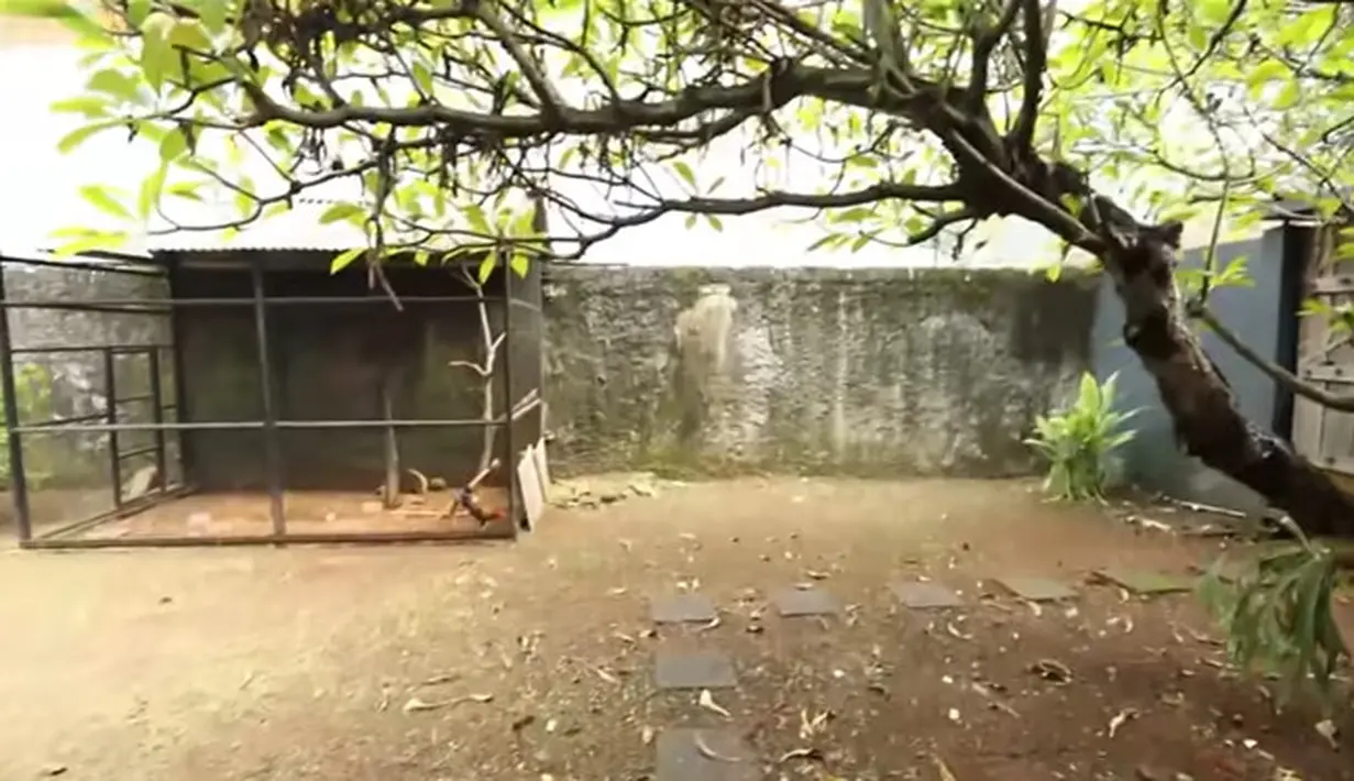 15 Potret Rumah Iwa K (Youtube/ TRANS7 OFFICIAL)