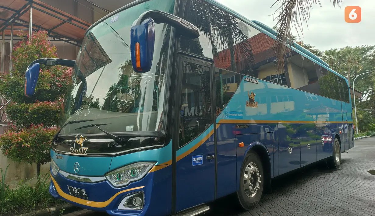 Setelah hadir dalam versi Double Glass akhirnya Jetbus kembali dalam wujud Single Glass. Jetbus 3+ varian Single Glass ini tersedia dalam varian High Deck (HD), Middle High Deck (MHD), dan Super High Deck (Super High Deck). Bus ini hadir dan memberikan pemandangan yang luas kepada penumpangnya.
