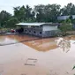 Para peternak ikan koi di Lombok mengalami kerugian hingga miliaran rupiah karena banyak ikan yang mati akibat banjir bandang.