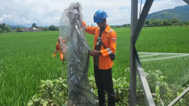 Petugas mengamankan balon udara yang diterbangkan pada Hari Raya Idul Fitri di Jatim. (Dian Kurniawan/Liputan6.com)