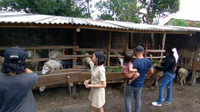 Mahasiswi Jual Kambing