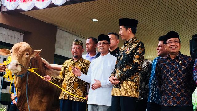 Presiden Jokowi memberikan sapi sebagai hewan kurban di PP Muhammadiyah.
