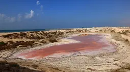 Sebuah gambar yang diambil pada 26 Januari 2021 ini menunjukkan danau merah muda di Ras Al Khaimah di Uni Emirat Arab (UEA). Menurut harian Al Khaleej, ukuran danau tersebut memiliki panjang 40 meter dan lebar 10 meter. (GIUSEPPE CACACE/AFP)