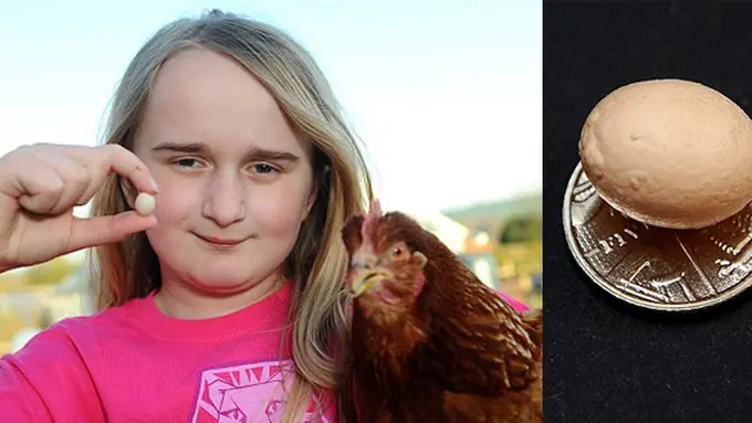 foto: copyright dailymail.co.uk