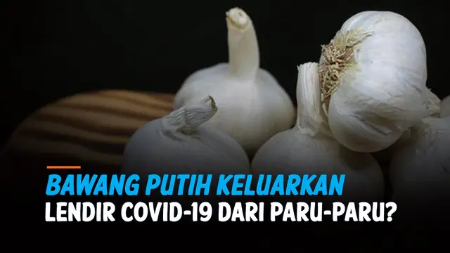 Thumbnail bawang putih lendir paru-paru