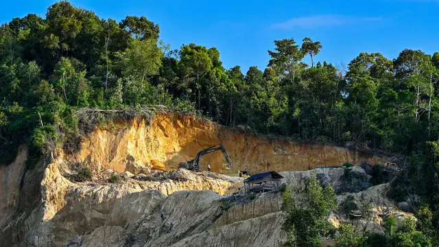Dampak Deforestasi, Tutupan Hutan Aceh Kritis Sejak 15 Tahun Lalu