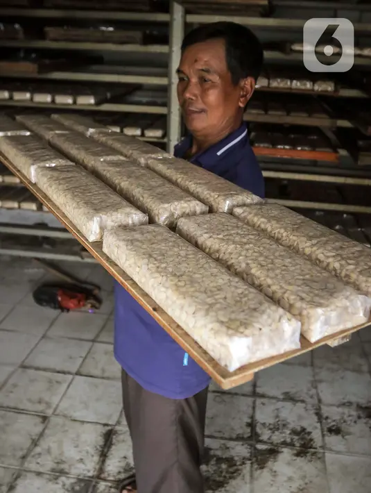 Ketentuan tersebut sesuai dengan Peraturan Pemerintah (PP) No. 23/2018 tentang Pajak Penghasilan Atas Penghasilan dari Usaha Yang Diterima atau Diperoleh Wajib Pajak yang Memiliki Peredaran Bruto Tertentu. (Liputan6.com/Angga Yuniar)