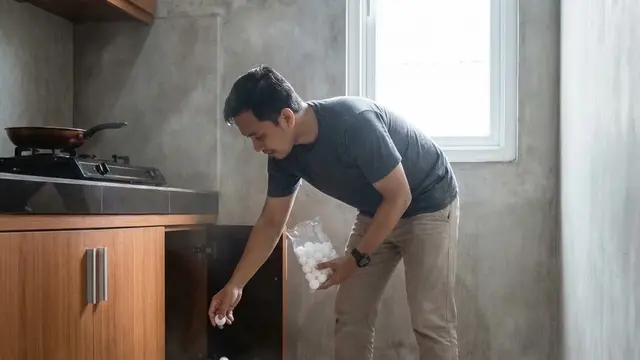 Cara Ampuh Usir Kecoak dan Tikus Sekaligus dalam Satu Malam