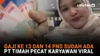 Mulai dari gaji ke-13 dan 14 PNS sudah ada hingga PT Timah pecat karyawan viral di News Flash Liputan6.com.