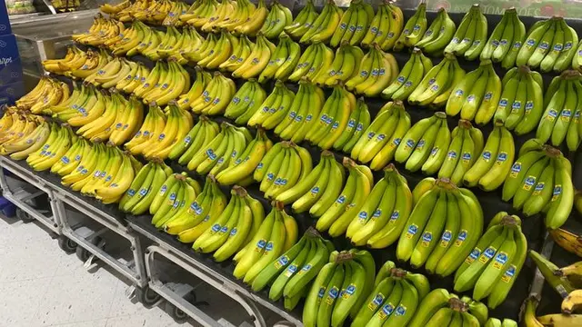 Tampilan warna gradasi pisang