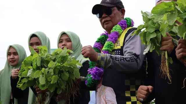 Turdes Hari Ketiga, Gubernur Kalsel Panen Sayuran Segar Bersama Warga Desa Gunung Besar