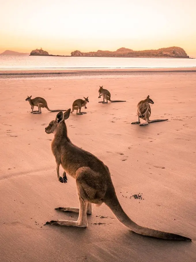 BCA Australia Travel Fair 2019