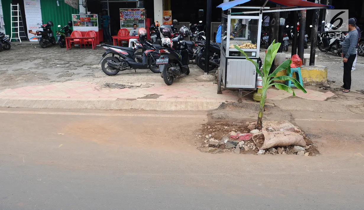 Sebuah lubang bekas galian ditanami pohon pisang di pinggir Jalan Raya Margonda, Depok, Senin (4/3/2019). Aksi tanam pohon pisang itu sebagai protes warga akibat banyaknya lubang galian di Jalan Margonda. (Liputan6.com/Herman Zakharia)