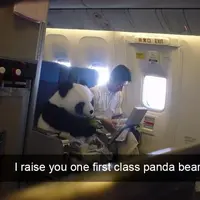 Jangan sampai kelewatan untuk melihat penampakan-penampakan konyol dan kocak yang pernah ada di dalam pesawat. (Via: 