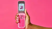 Nokia 2660 Flip ala Barbie. Credit: Mattel