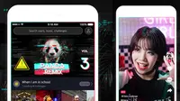 Dua Petisi Online Ini Picu Pemblokiran Tik Tok