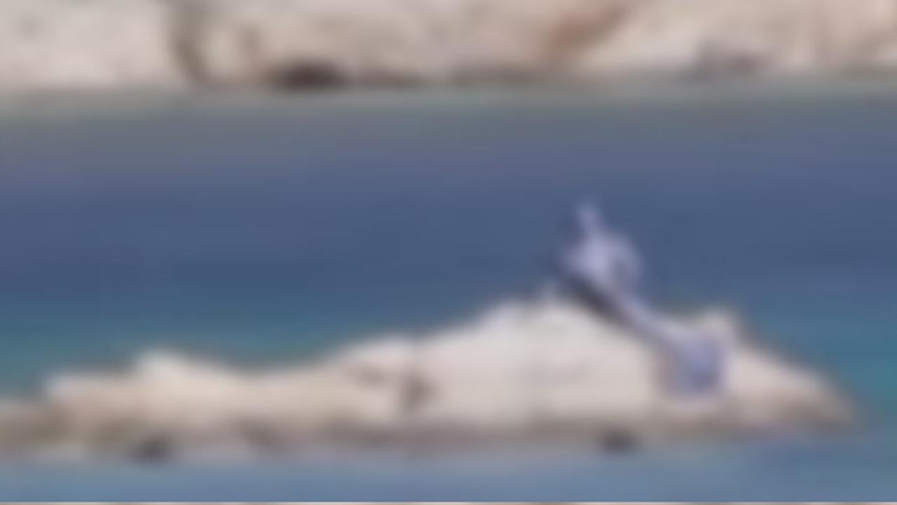 Heboh Penampakan Putri Duyung di Spanyol