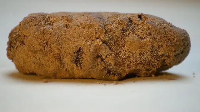 Keju Tungau di Jerman