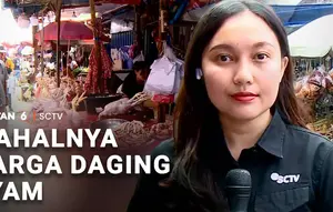 Mahalnya Harga Daging Ayam