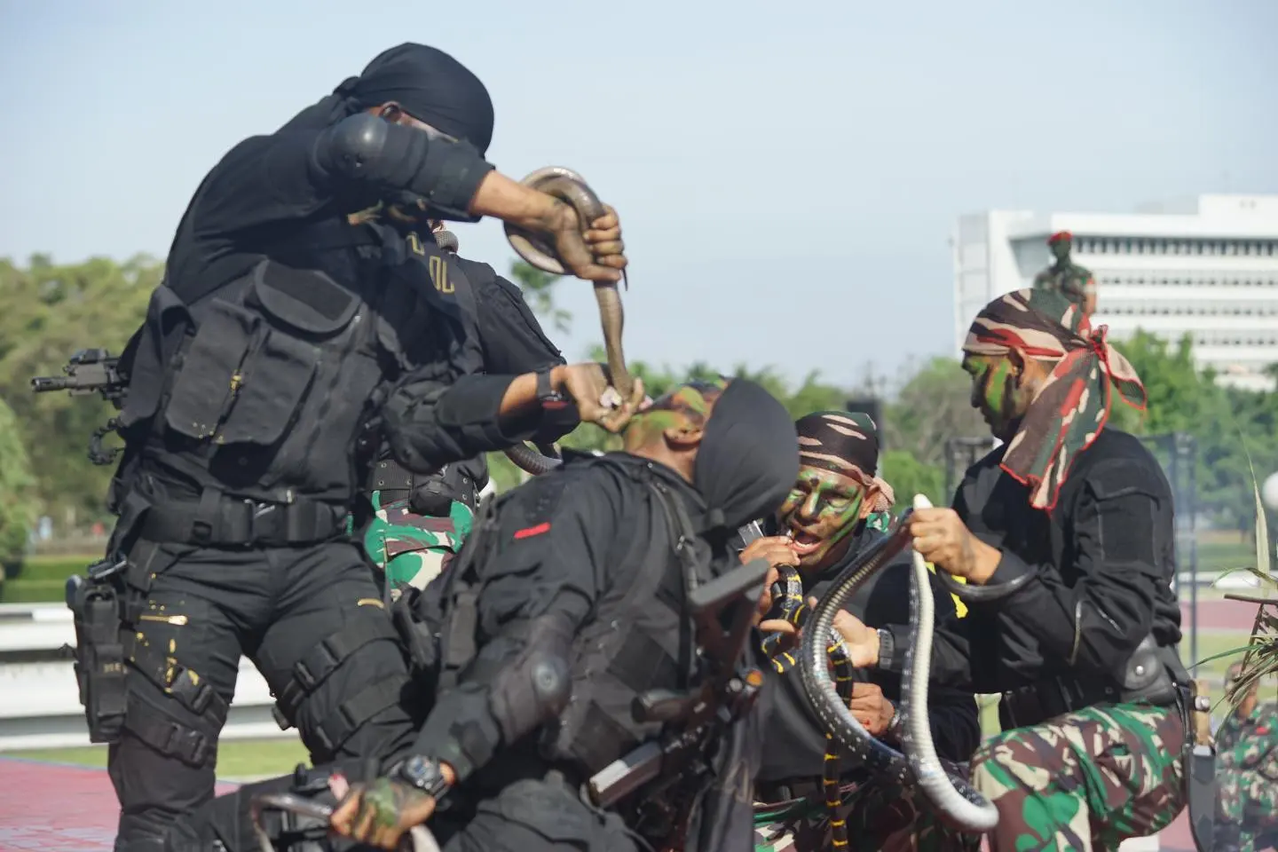 Aksi Kopassus minum darah ular saat parade perpisahan melepas kepergian Menhan AS Jim Mattis ke Vietnam di Jakarta (24/1/2018) (Sumber: Handout via Newsweek)