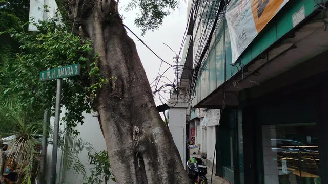 Kabel Semrawut