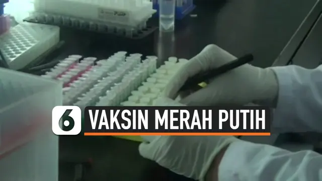 VIDEO: Vaksin Merah Putih Telah Masuk Fase Uji Praklinik