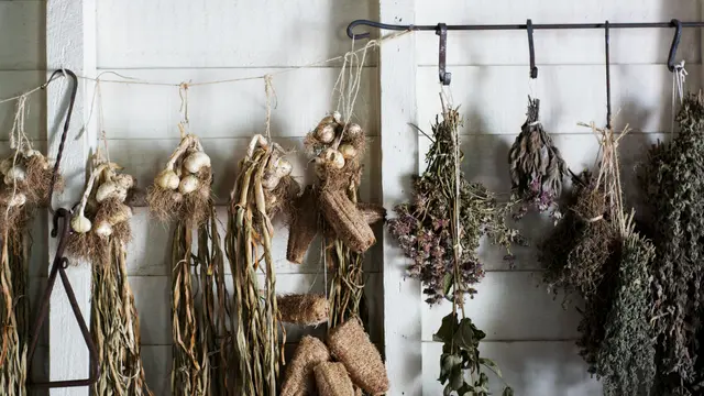Mengeringkan Herba dan Sayur