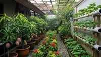 12 Tanaman Buah yang Menguntungkan di Lahan Sempit, Mudah Dirawat dan Cepat Panen