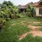 8 Tempat di Mana Rumput Tidak Akan Tumbuh, Begini Tips Mengatasinya