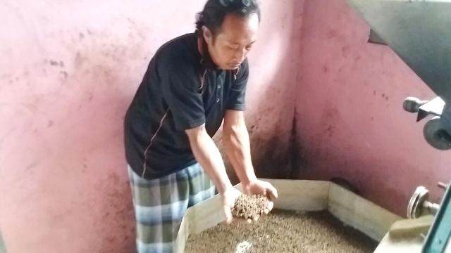 Kopi Robusta Gondo Arum, Banjarnegara dijual dalam bentuk mentah maupun bubuk. (Foto: Liputan6.com/Muhamad Ridlo)