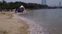 Ancol Gratis Saat HUT ke-499 Jakarta, Catat Waktu dan Syaratnya