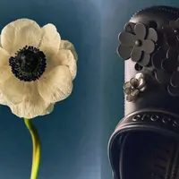 Crocs kembali hadir dengan gebrakan baru yang mencuri perhatian dunia fashion berkolaborasi dengan Mardi Mercredi. (foto/dok: crocs)