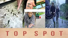 (Liputan6.com)