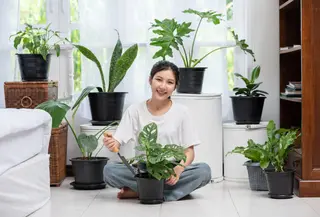 Langkah-langkah mudah yang bisa dilakukan sehari-hari untuk mulai hidup lebih hijau dan ramah lingkungan. (Foto: jcomp/Freepik)