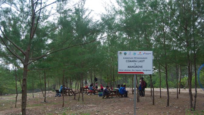 Keindahan Taman Wisata Pendidikan Mangrove Bangkalan Regional Liputan6 Com
