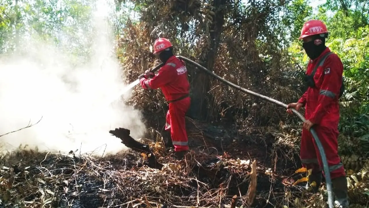 Personel Manggala Agni di Riau mendinginkan lokasi kebakaran lahan.