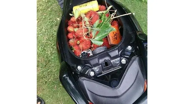 Jok motor diisi barang-barang nyeleneh (Ist)