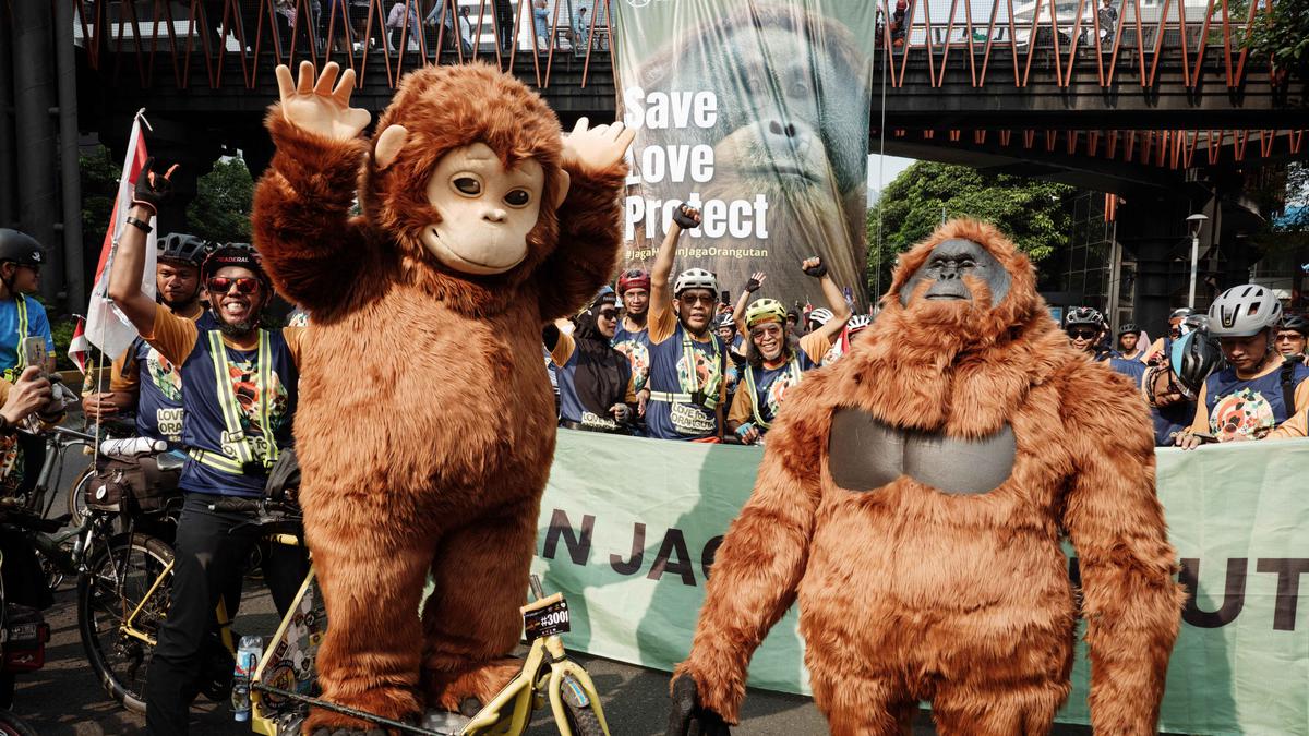 Aktivis Lingkungan dan Komunitas Sepeda Gelar Kampanye Perlindungan Orangutan