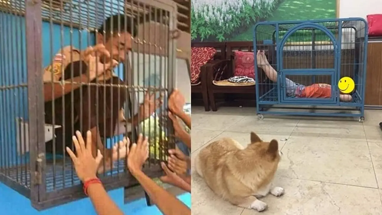 6 Tingkah Absurd Orang Masuk Kandang, Enggak Habis Pikir