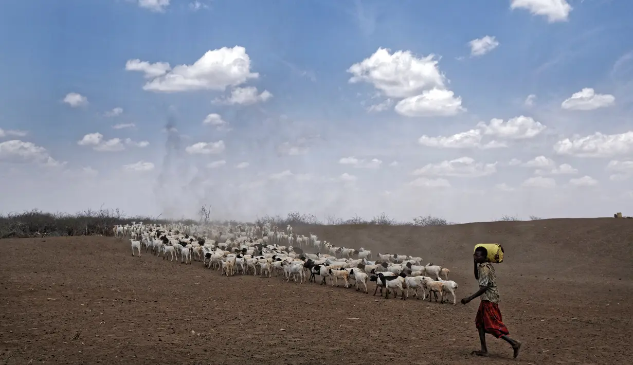 Negara-negara yang berada dalam kawasan Tanduk Afrika kini tengah mengalami kekeringan, Kenya, Jumat (3/3). PBB menyerukan masyarakat internasional untuk bertindak membantu krisis di negara afrika tersebut. (AP Photo / Ben Curtis)
