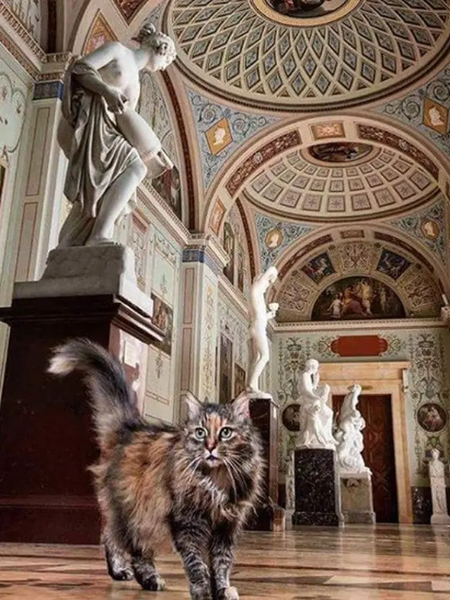 seekor kucing di Hermitage Museum.