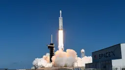 Roket SpaceX Falcon Heavy dengan pesawat antariksa Europa Clipper di dalamnya meluncur dari Kompleks Peluncuran 39A di Pusat Antariksa Kennedy NASA di Cape Canaveral pada 14 Oktober 2024. (CHANDAN KHANNA/AFP)