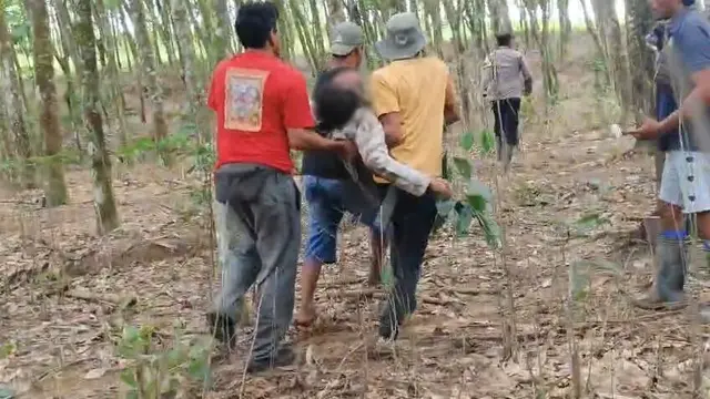 Tangkapan layar rekaman video amatir, saat warga mengevakuasi Kepala Desa Braja Asri usai diserang gajah liar di Lampung Timur.