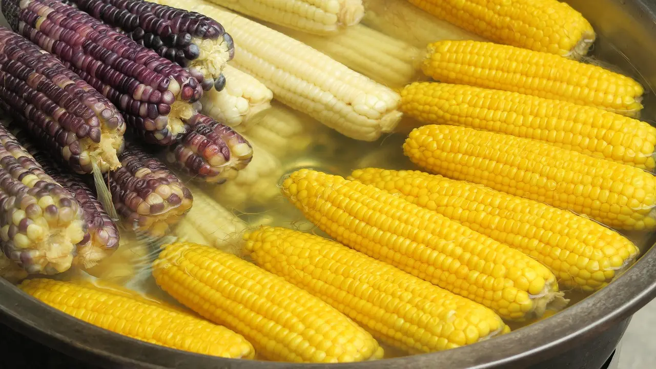 Ilustrasi Jagung