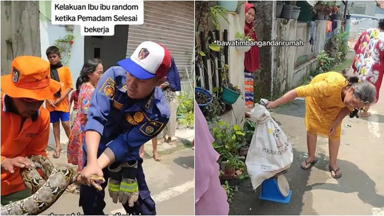 Aksi Lucu Emak-Emak Bawa Timbangan ke Lokasi Evakuasi Ular Piton, Ada Aja Tingkahnya