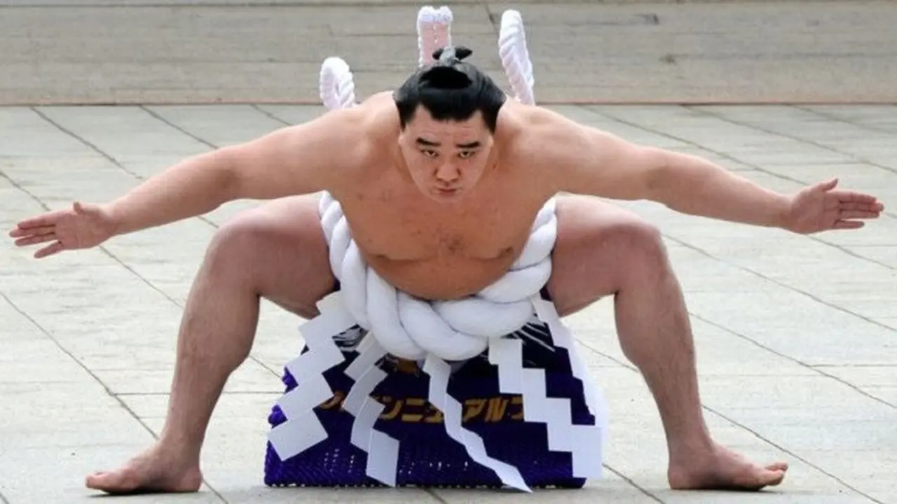 Pesumo Jepang kelahiran Mongolia, Harumafuji