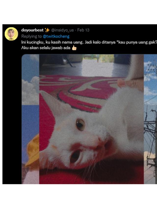 6 Nama Panggilan Kucing Ini Tak Biasa, Kocak Banget