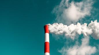 Mekanisme Pasar Karbon Masih Tahap Uji Coba