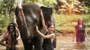 Louise terlihat menghabiskan waktunya dengan beberapa temannya sambil mengunjungi kebun binatang yang ada di Bali. Louise sangat menikmati waktunya ketika bermain dengan gajah. (Liputan6.com/IG/louiseans)